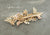 'MARION' Hair Comb with Leaves Pink Flowers